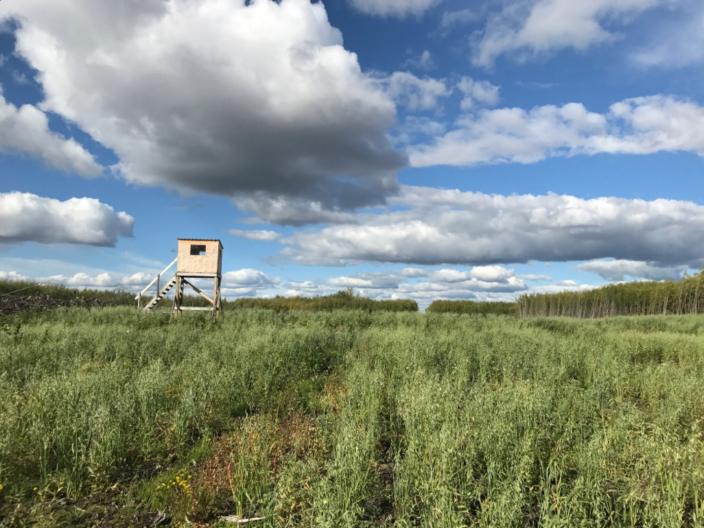 Deer River Outfitters - Wilderness Outfitters, Guides & Tours in Fort Vermillion, Alberta